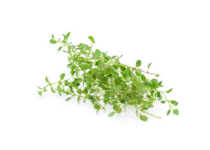 Thyme